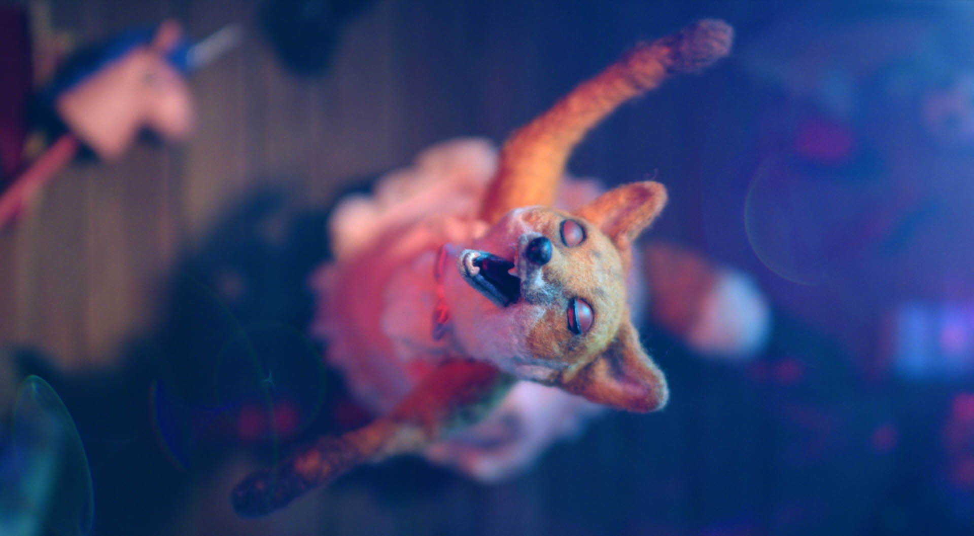 Dragfox